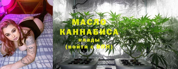 гидра Армянск