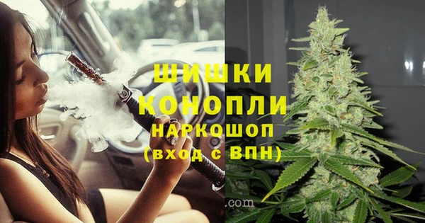гидра Армянск